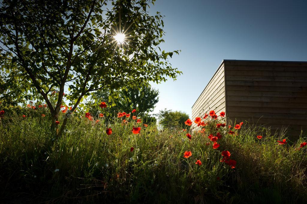 Ecolodge Le Bruit De L'Eau Saint-Quentin-en-Tourmont Extérieur photo